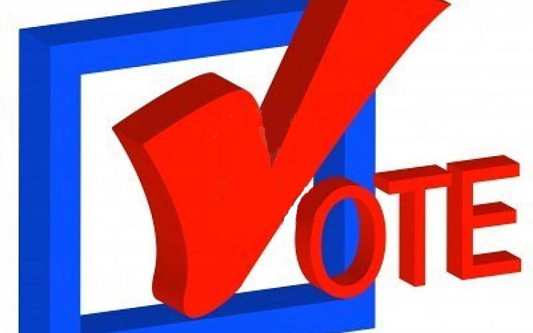 Voting Image