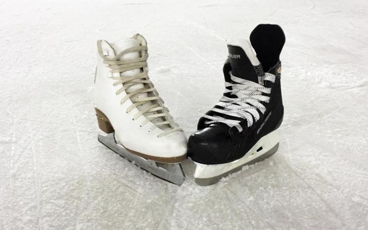 Picture of Ice Skates